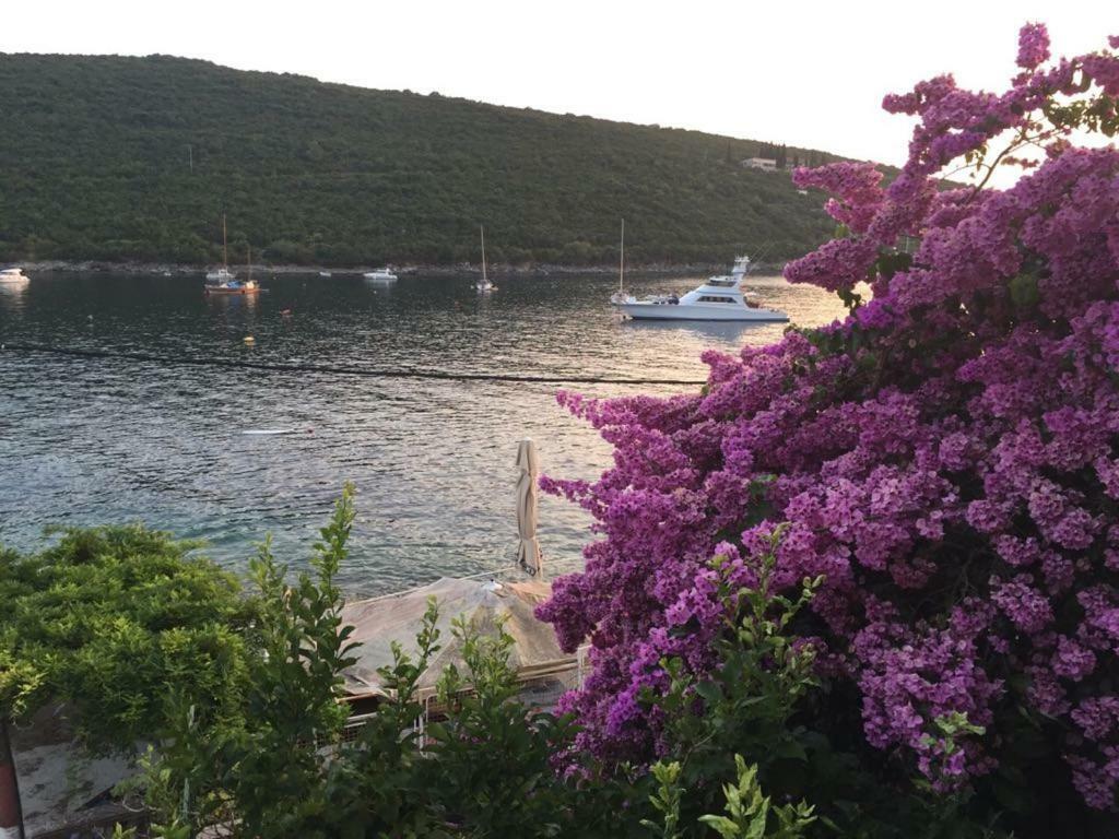 Waterfront Townhouse Sunset View With Garage Apartment Bigovo Luaran gambar